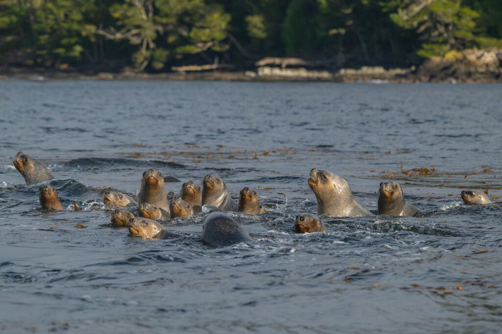 KAYAK AGUA FRESCA - FARO SAN ISIDRO (25 de 1)