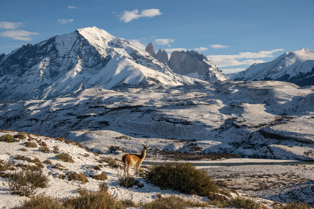 WINTER IN PATAGONIA - BEST OF (9) BBB
