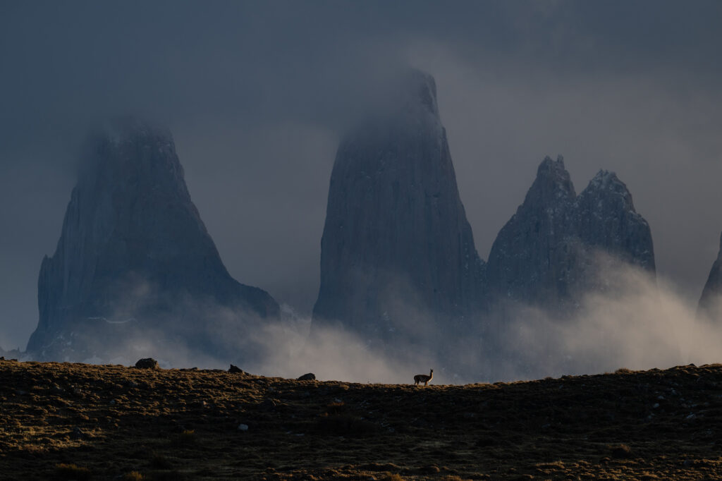 WINTER IN PATAGONIA - NUESTRA ESENCIA